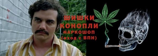ПСИЛОЦИБИНОВЫЕ ГРИБЫ Козловка