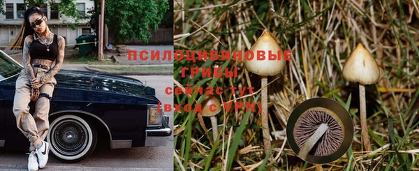 прущая мука Киреевск