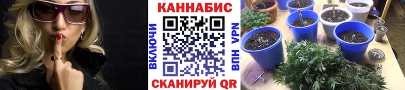 Канабис гибрид  Михайловка 